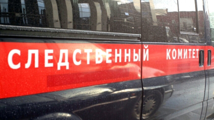 Семья из трех человек отравилась угарным газом в Подмосковье